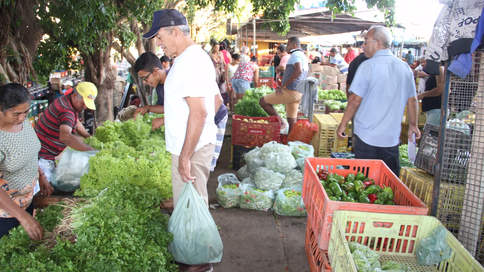 Feira livre — Arapiraca